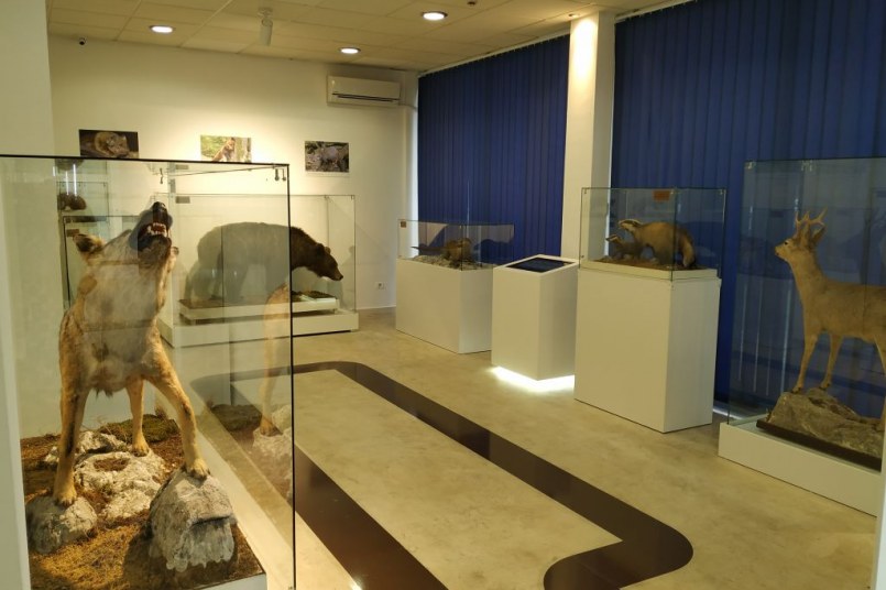 Izložbe Prirodnjačkog muzeja Crne Gore u okviru Noći istraživača 2020